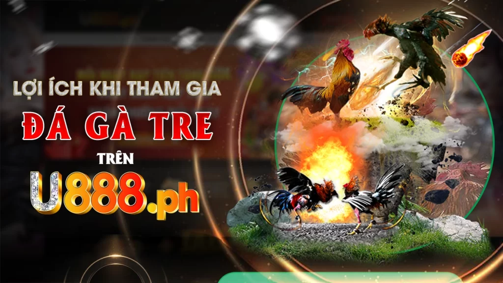 Lợi ích khi tham gia đá gà tre trên u888